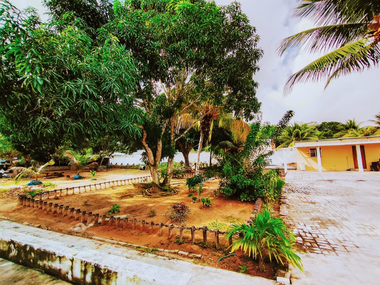Área arborizada com espaço de circulação